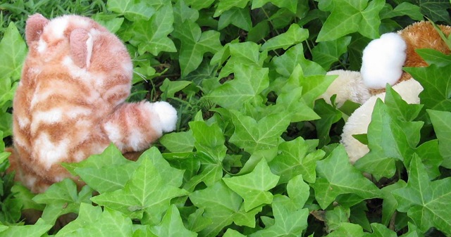 [IMG_9109CROPPED%255B2%255D.jpg]