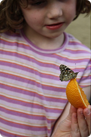 IMG_9392 IMG_9392