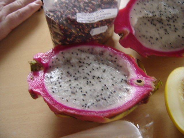 [Pitaya%2520white%2520%25283%2529%255B3%255D.jpg]