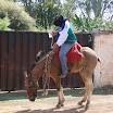 2EncontrodeMuladeiros-388.JPG