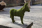 Well, Francesca, would you look at that!  It's a topiary in the shape of a donkey!