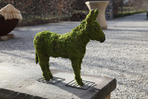 Well, Francesca, would you look at that!  It's a topiary in the shape of a donkey!