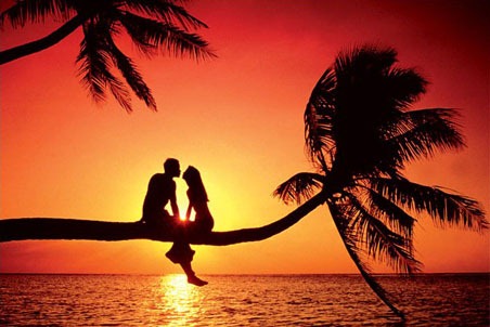 [lgpp31181%252Bsummer-love-kissing-at-sunset-poster.jpg]