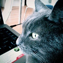 it's winter = lots and lots of cuddles with Raja, my beautiful and devoted friend