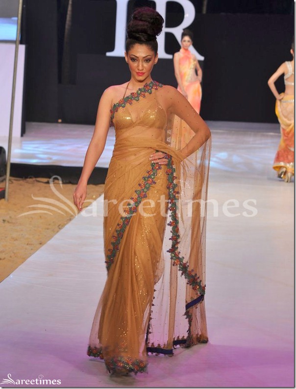 Neeta_Lulla_Sari