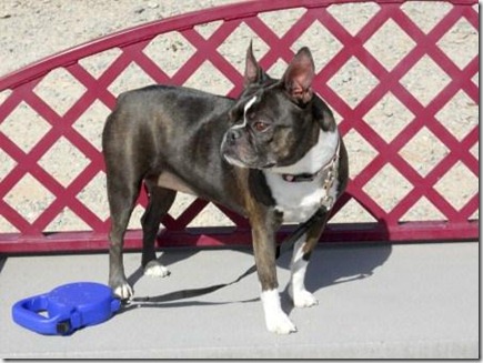 Kahlua2011_B