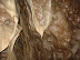 Curtains in the Grande Gallery