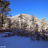 Jardim de nosso B&B - Rocky Mountain Lodge - Colorado Springs, Colorado, EUA