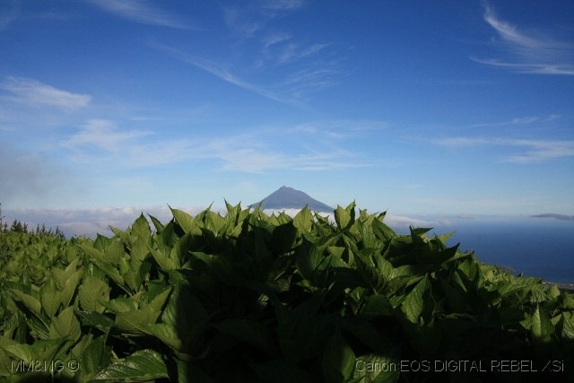 [%255B70%255D_Caldeira_-_Pico%2520%2528640x427%25291%255B4%255D.jpg]