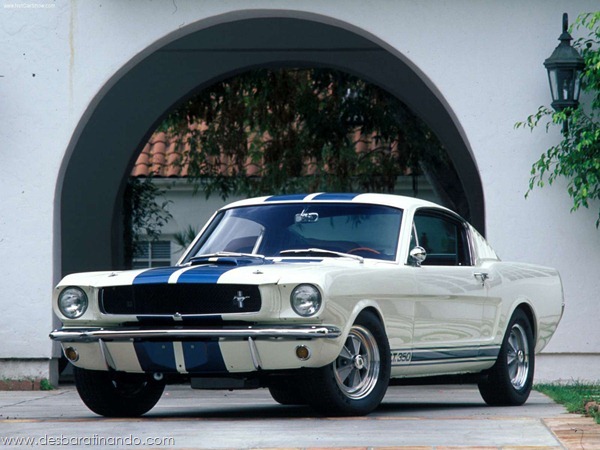muscle-cars-classics-wallpapers-papeis-de-parede-desbaratinando-(102)