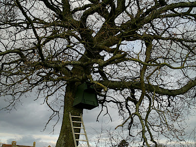 Finished. The Barn Owl box in situ.