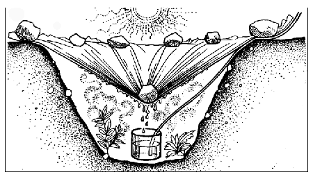 Come ottenere acqua (sopravvivenza)