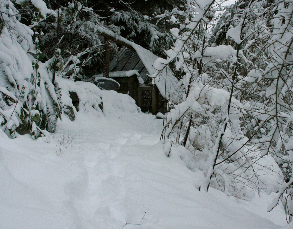 [snowdays8%255B5%255D.jpg]