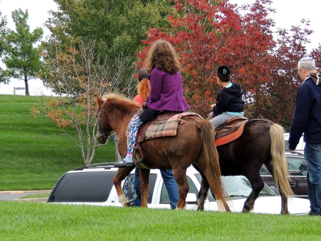 [DSCN0449%255B3%255D.jpg]