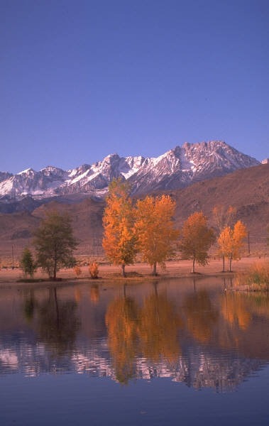 [MP900181596%255B15%255D.jpg]