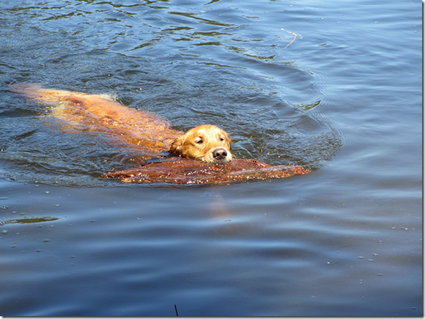Swim1 Swim1