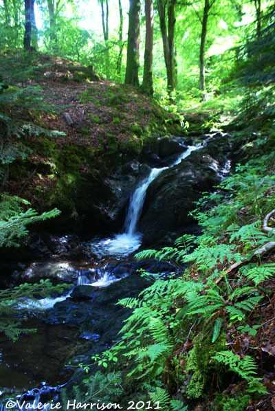 [9-waterfall%255B2%255D.jpg]