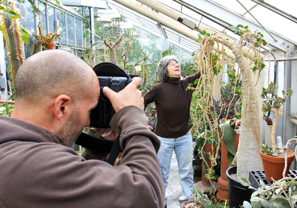 [130202_UCDavis_Dendrosicyos-socotranus_01%255B6%255D.jpg]