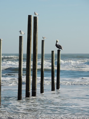 [Florida%2520005%255B4%255D.jpg]
