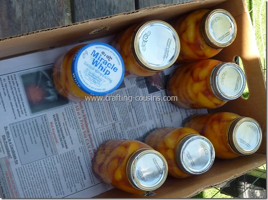 Home canned peaches by the Crafty Cousins (48)