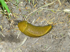 DSCN5052.JPG