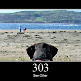 303.jpg 303.jpg