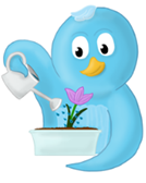 image image
