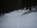 PA220053.JPG