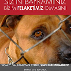 irfanyuksel1.jpg