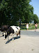 P1090849.JPG