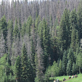 IMG_1171.JPG