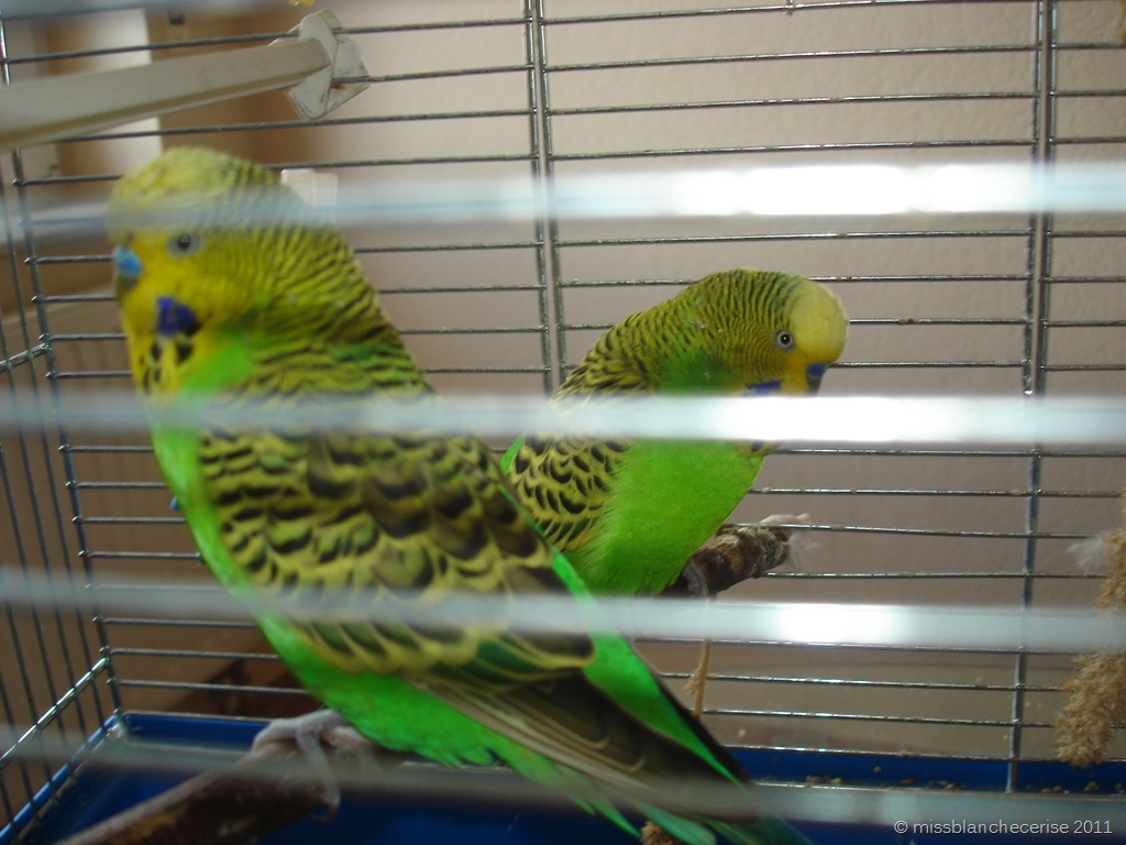 [DSC06858%255B9%255D.jpg]