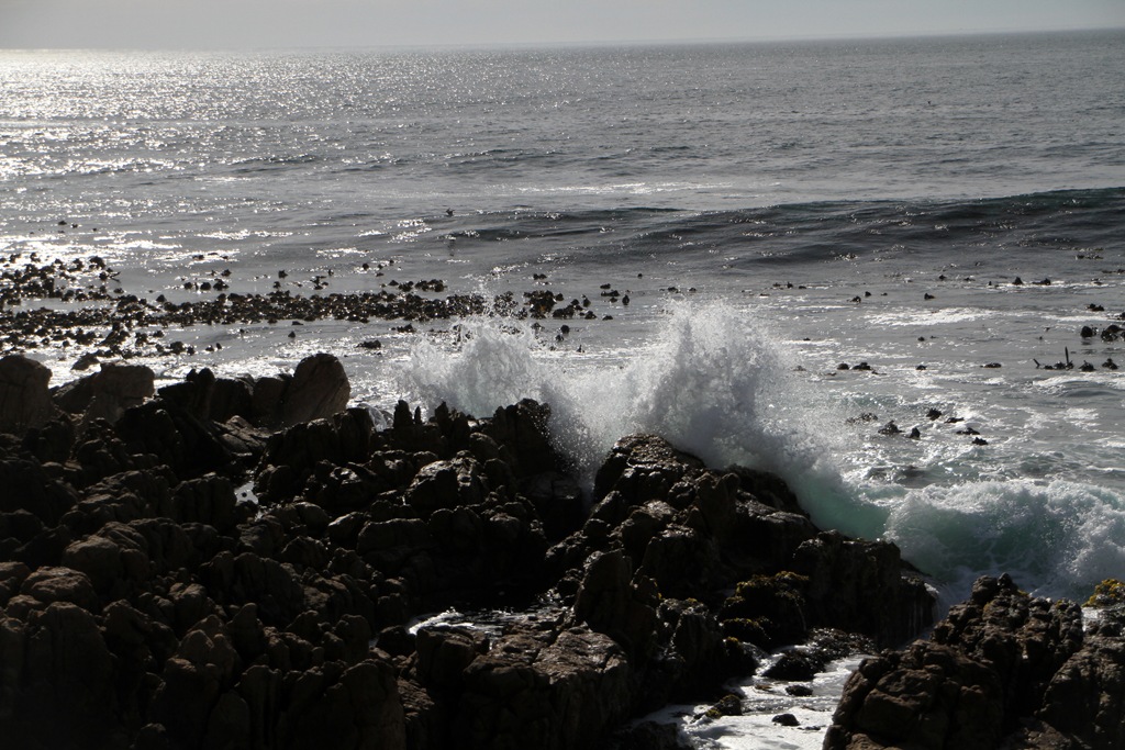 [IMG_2625%255B6%255D.jpg]