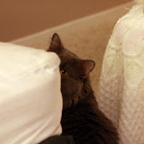 IMG_0078.JPG