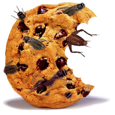 Chocolate-Chirp-Cookie