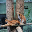 DSC_9790.JPG