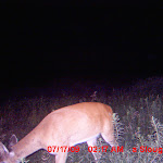 MDGC0376.JPG