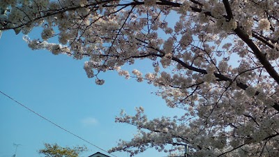2015-04-02 08.12.07.jpg