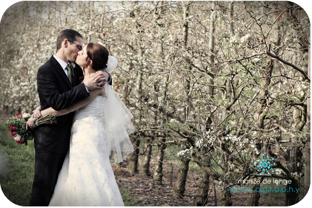 [H%2526R_379%2520a%255B5%255D.jpg]