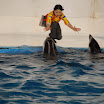 hokkaido_468.jpg