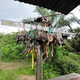 写真7:ガワイの供え物をするジェラロンのプナン  / Photo10: Penan people making offerings for Gawai (harvest festival) at their community along Jelalong River
