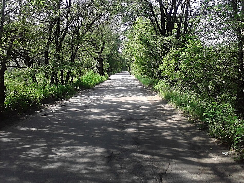 P160711_16.24.jpg