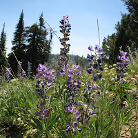 Blue Lake - August 1, 2009