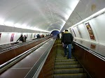 P1020287.JPG