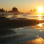 Shi-Shi Beach, WA 4