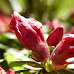 P1170408.JPG