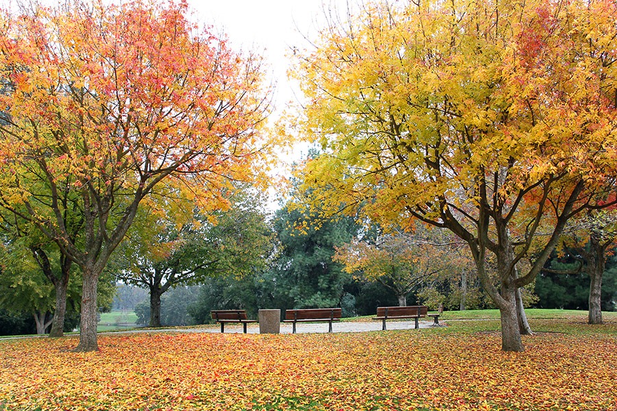 [111127_benches%255B2%255D.jpg]