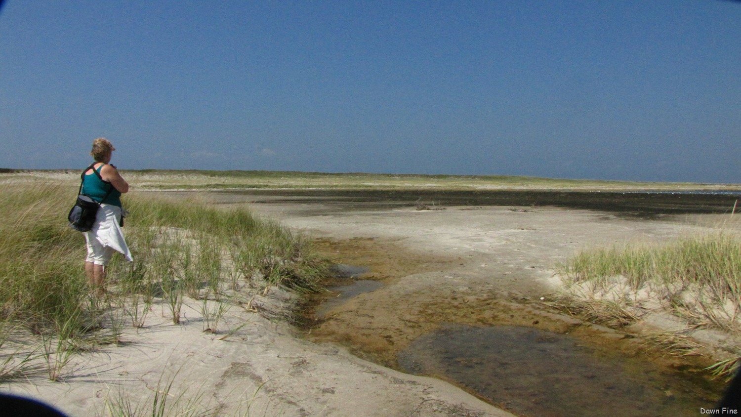[Birding-south-beach_070.jpg]