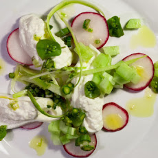 The Jewels of the Spring Salad: Shaved Asparagus with Burrata, Radish & Cucumber