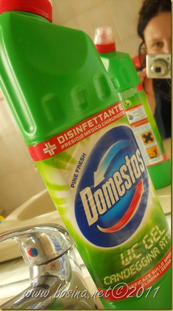 domestos2